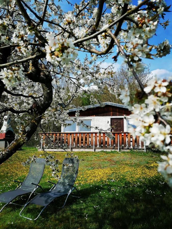 Ferienhaus Chiara, Suedharz, Harztor Ilfeld Zewnętrze zdjęcie